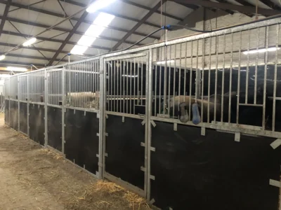 Plywood stalcontainer huren in Drenthe bij Conflex Verhuur