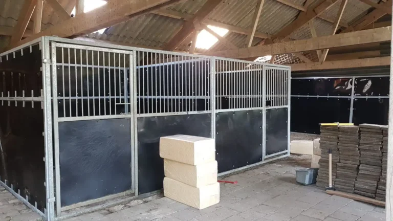 Concoursbox huren voor paardenevenement in Brussel