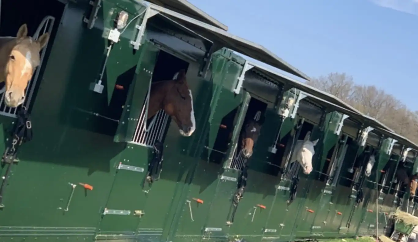 Kraanwagen levert stalcontainer in Groningen