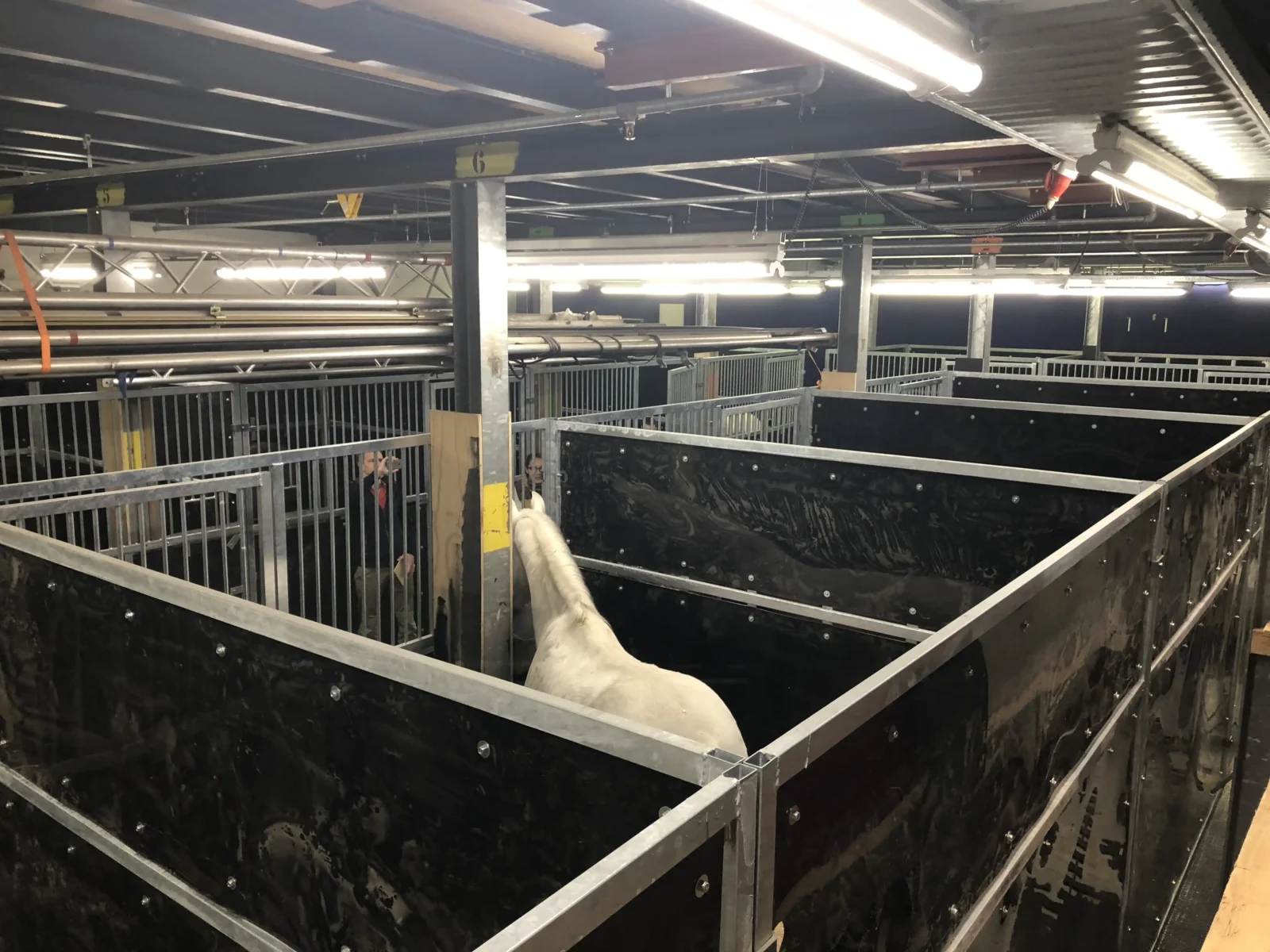 Plywood stalcontainer huren in Groningen bij Conflex Verhuur