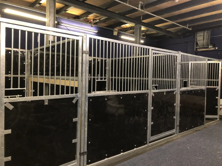 Concoursbox huren voor paardenevenement in Limburg