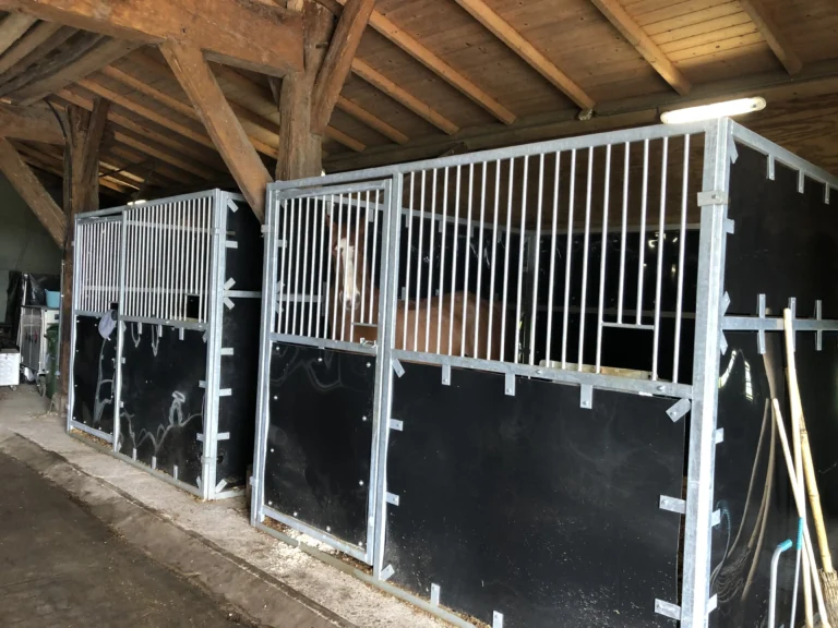 Concoursbox huren voor paardenevenement in Antwerpen