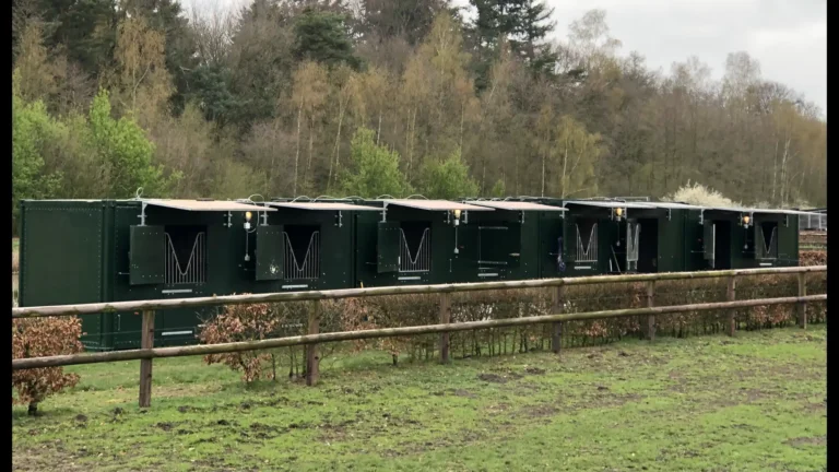Plywood stalcontainer huren in Brussel bij Conflex Verhuur